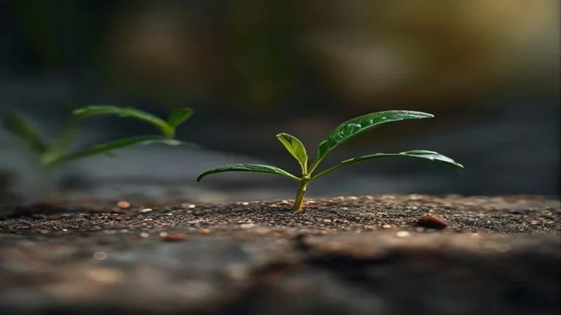 Hình ảnh minh họa phong cách sống Gratitude Practice in 2026: The Simple Habit That Changes Everything