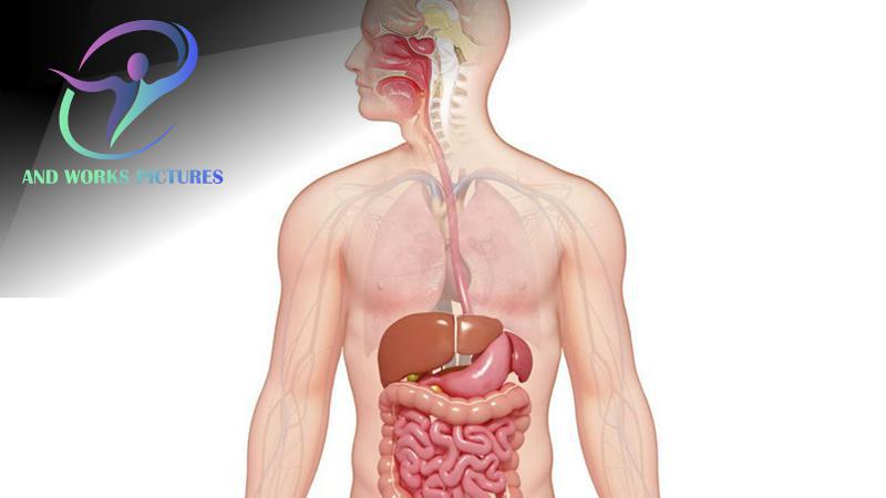H2: Các Biện Pháp Bảo Vệ Sức Khỏe Hệ Tiêu Hóa